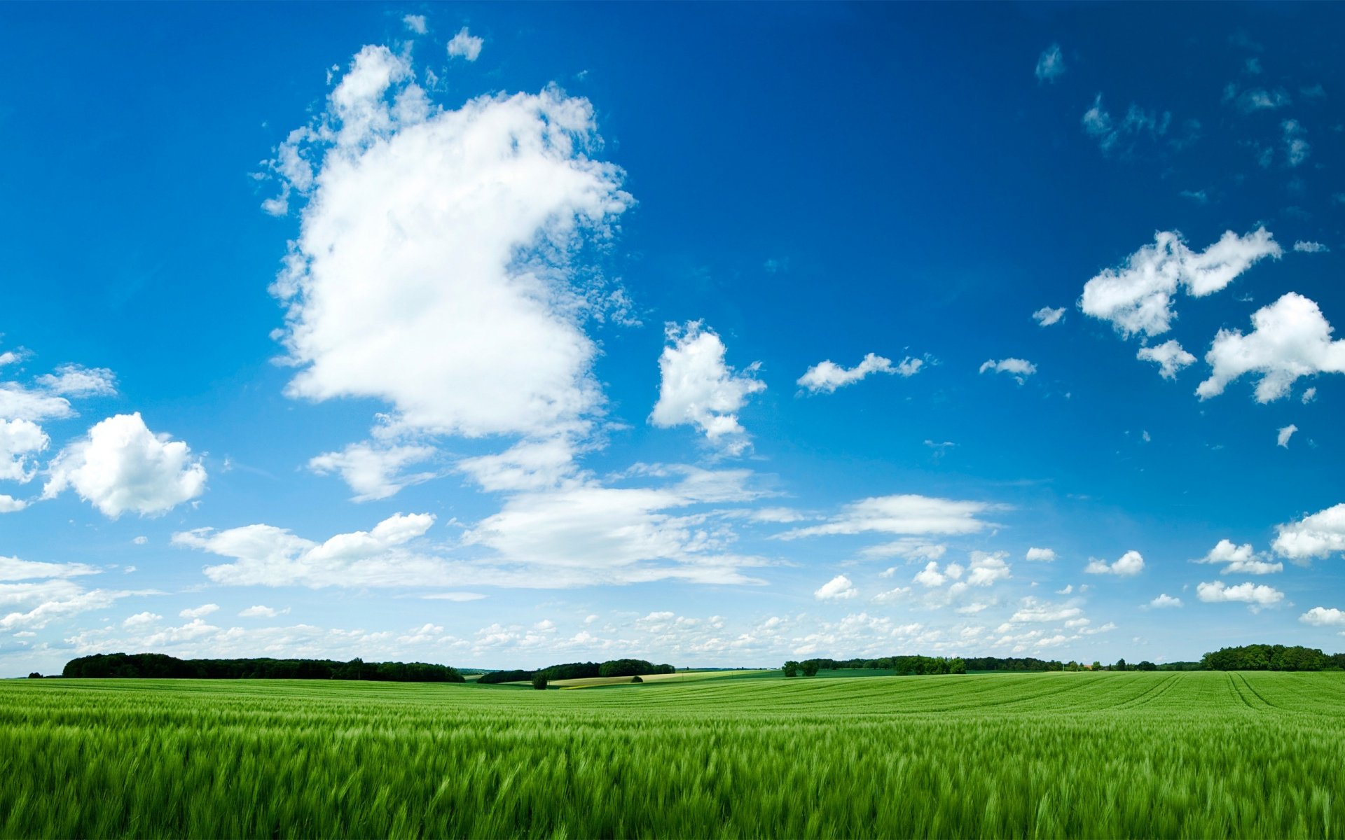 feld gras himmel grünes feld