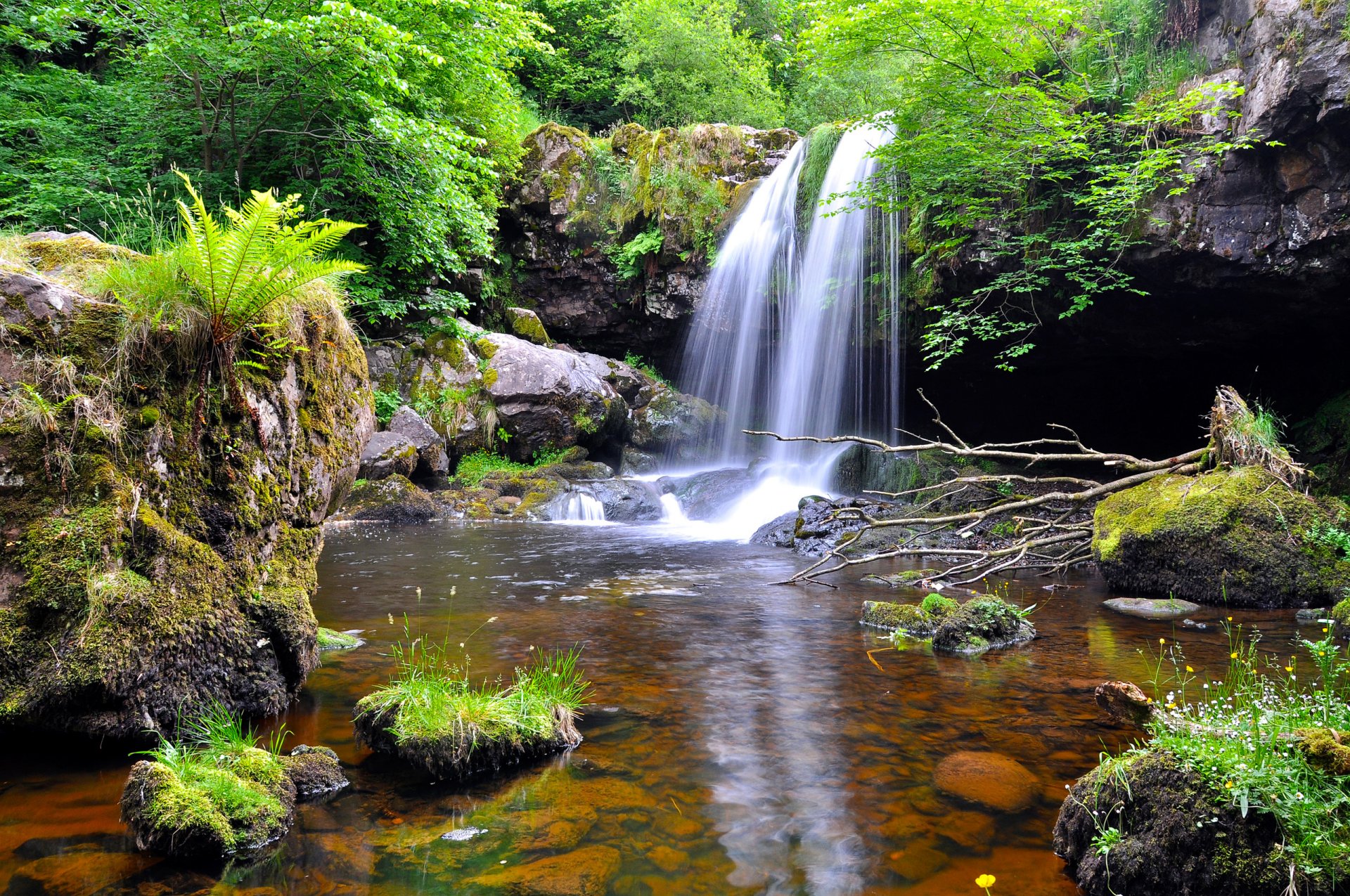 wald bäume strom wasserfall steine