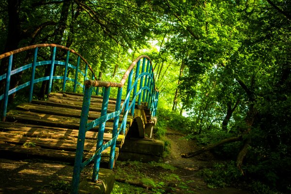 Alte Brücke im Hintergrund des Waldes