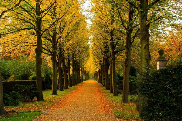 Der Herbstpark lockt Menschen zum spazieren