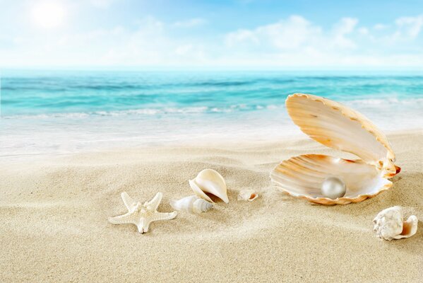 Seestern in der Nähe von Perlen am Strand