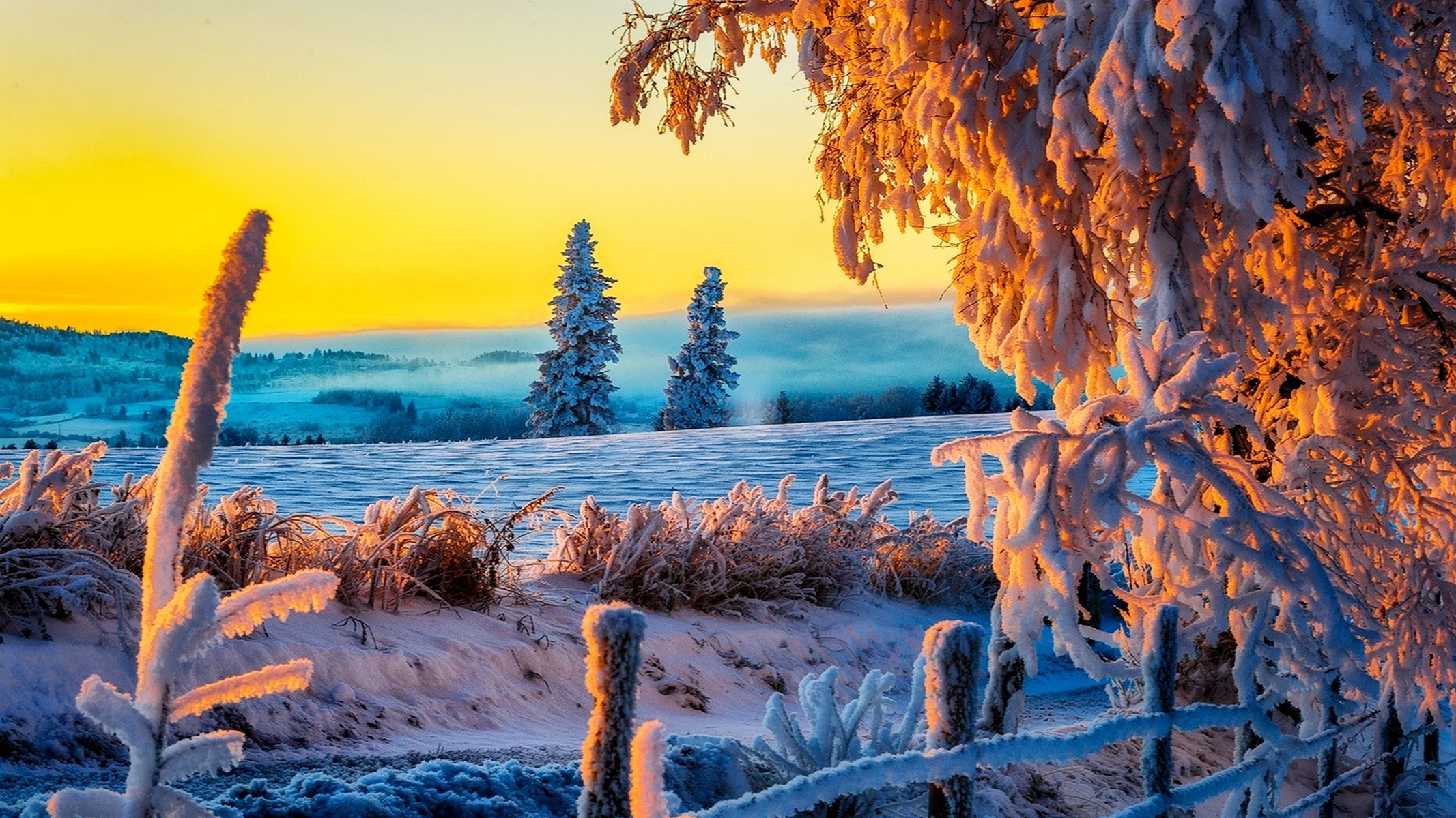 natur winter schnee straße bäume wald himmel landschaft winter weiß cool schön sonnenuntergang