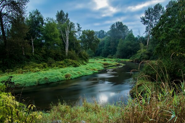 Schöne kanadische Landschaft. Fluss im Wald