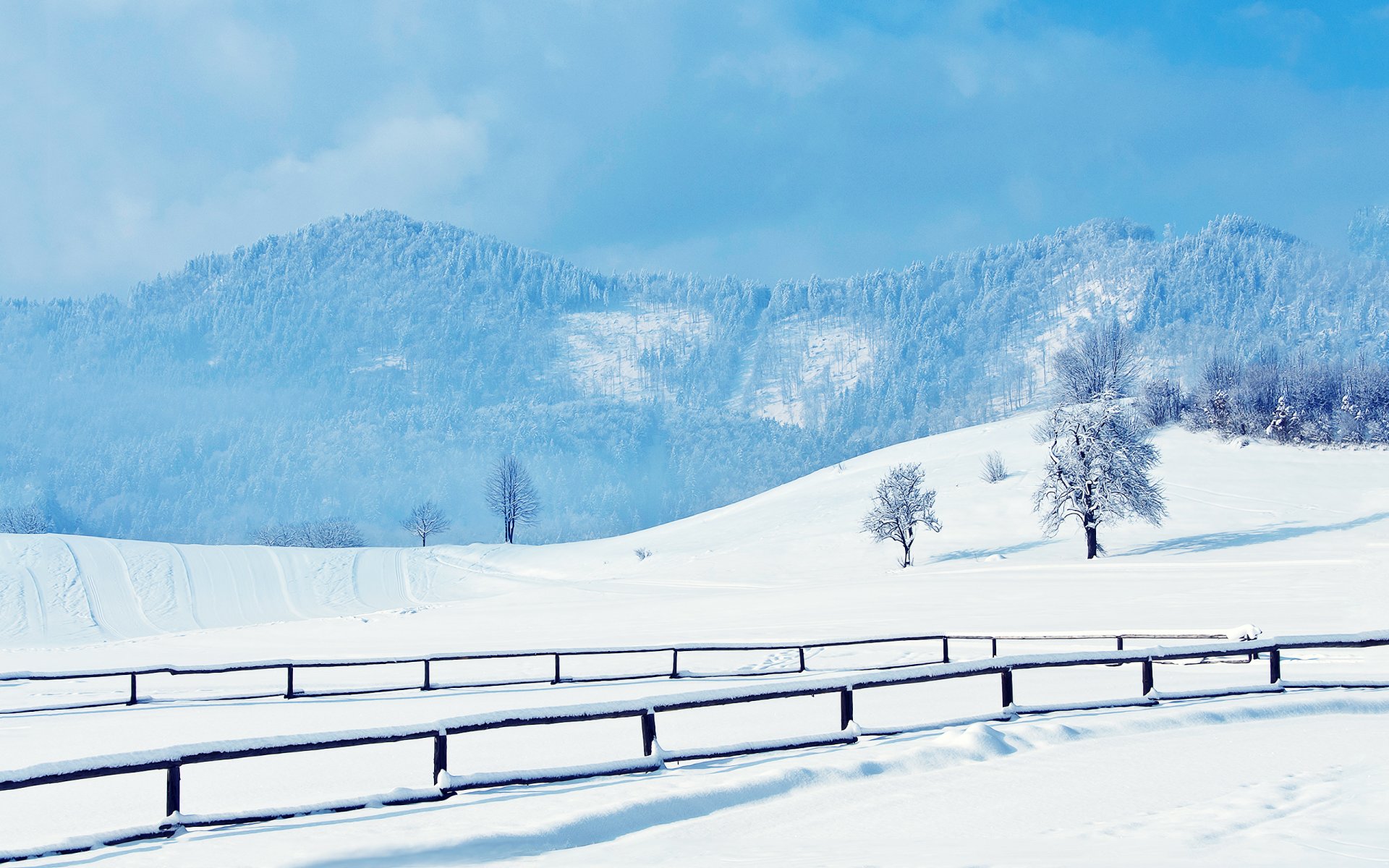 winter schnee hügel spuren straße geländer bäume