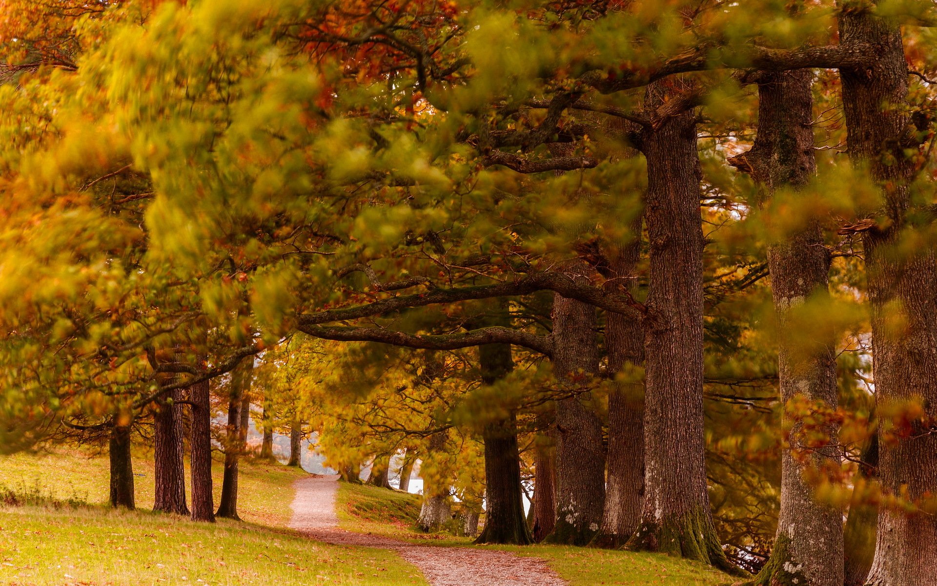 park herbst natur