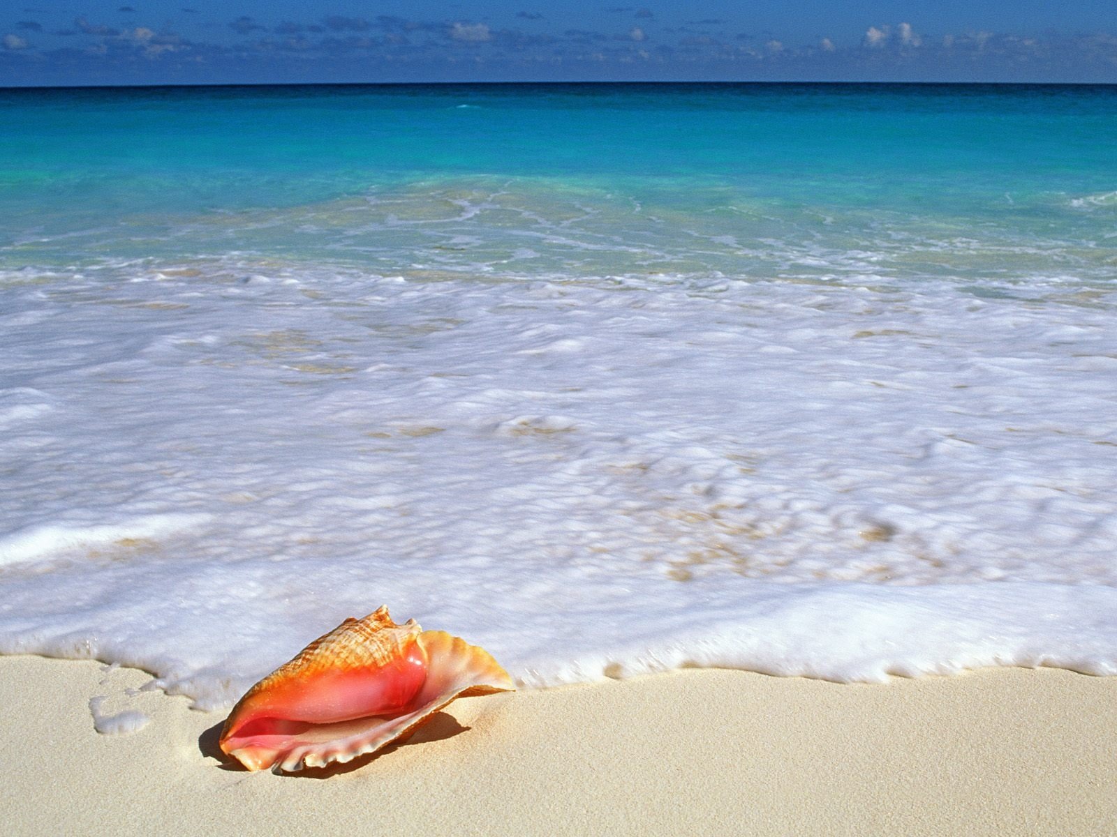 meer schaum schale