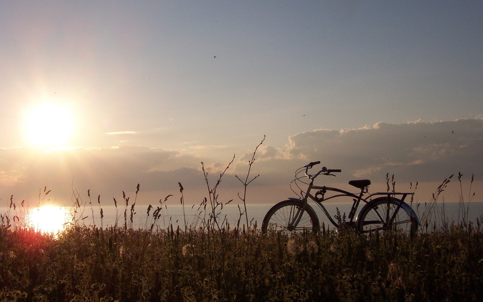 fahrrad sonne gras