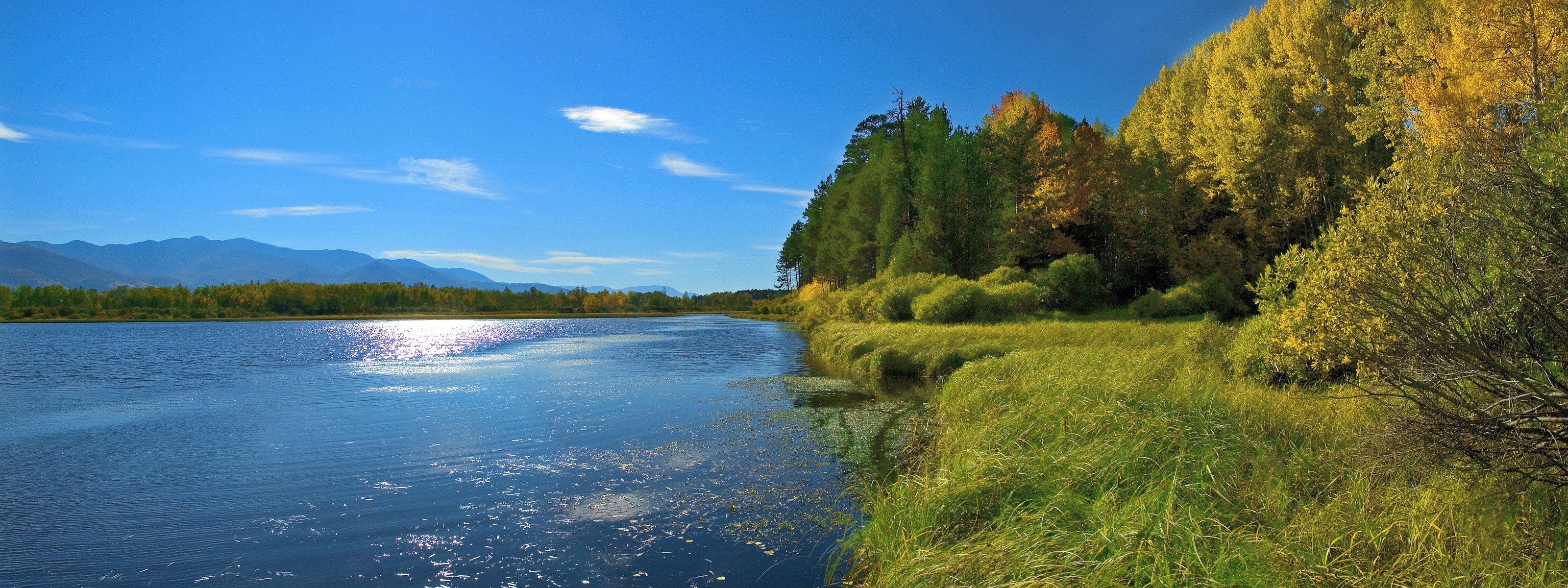 ufer sommer see