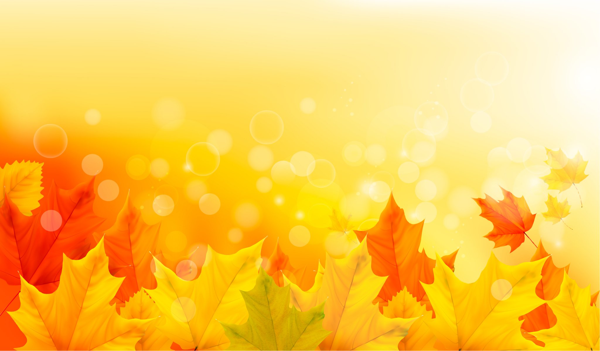 herbst blätter ahorn herbst hintergrund