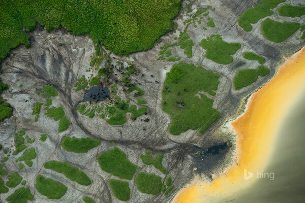 Eine Büffelherde an einem Wasserloch in Afrika