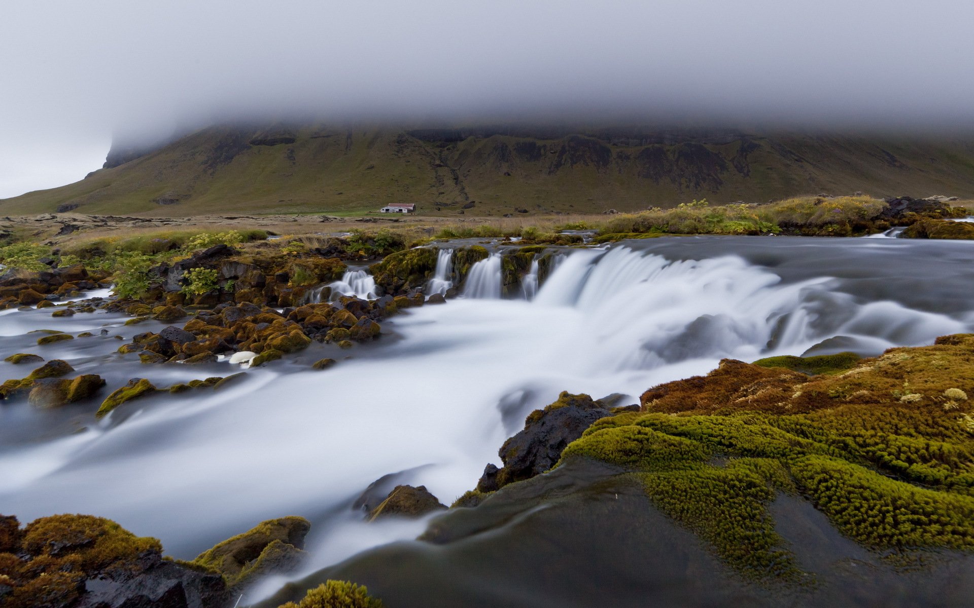 fluss nebel natur