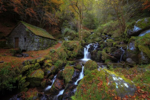 Ein Waldbach fließt an der Hütte vorbei