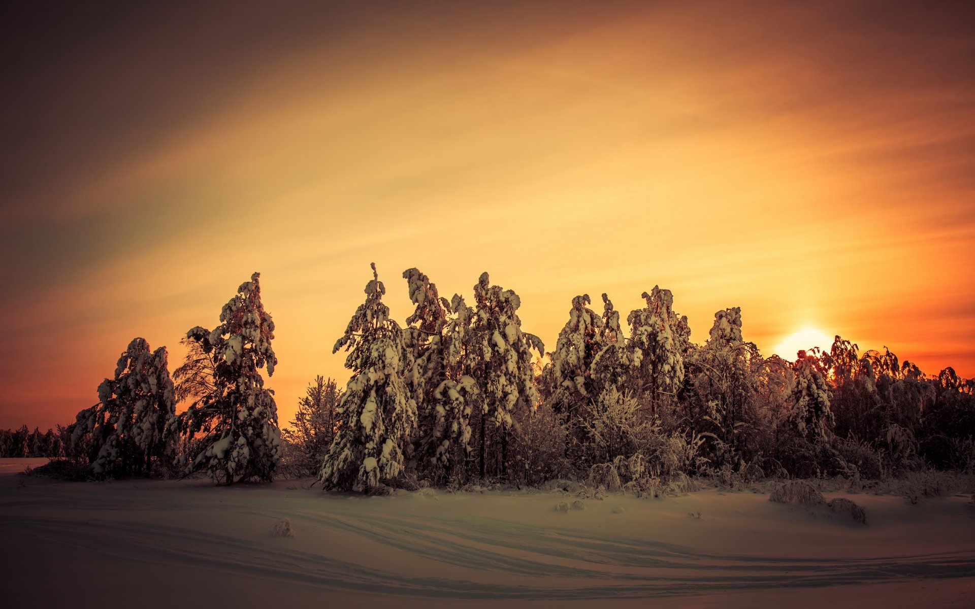 sonnenuntergang winter natur landschaft