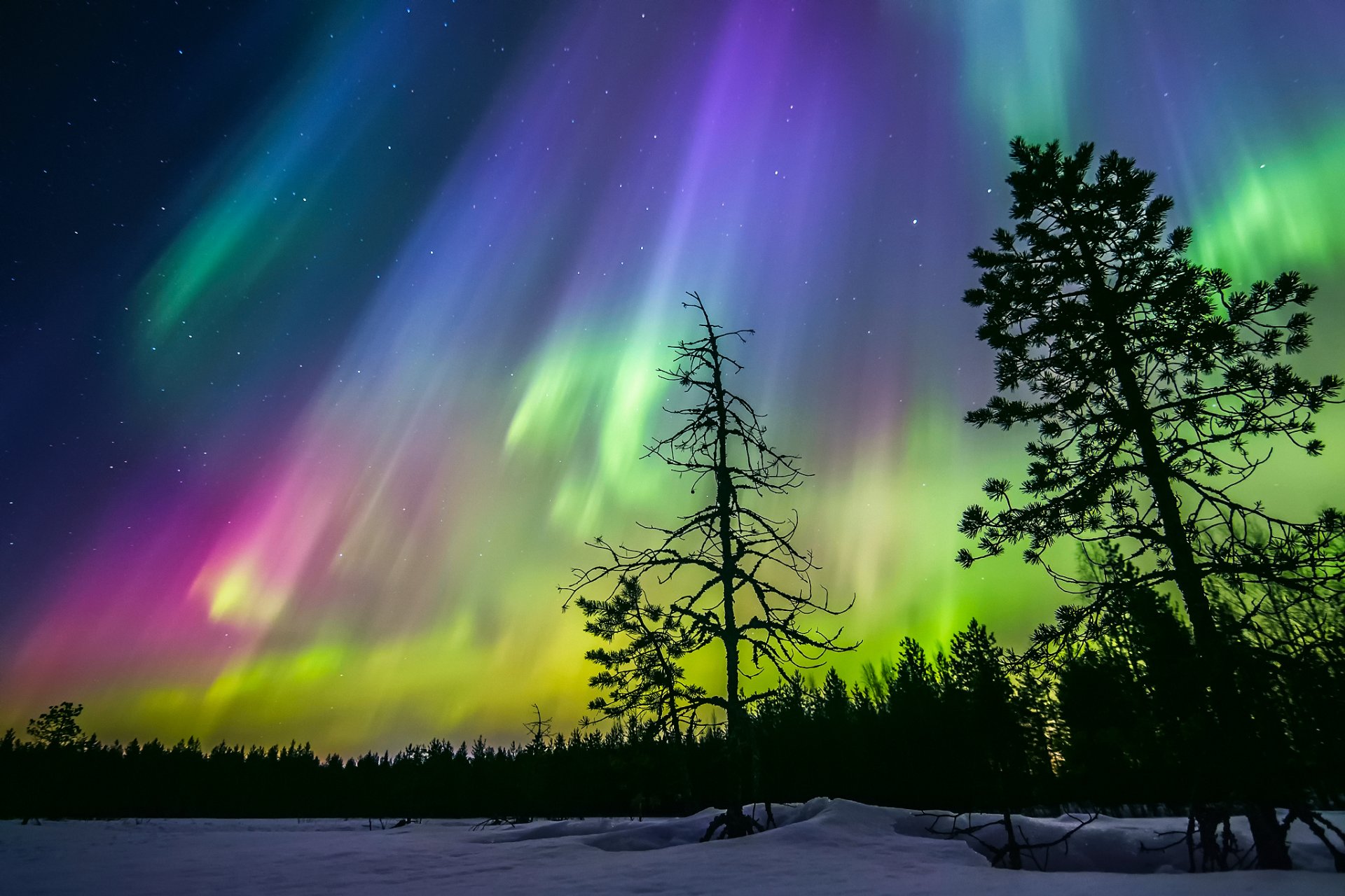 finnland winter nacht himmel sterne nordlichter schnee wald bäume silhouetten