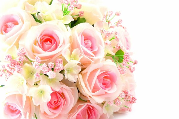 GIB DEM ANDEREN DIESE ROSEN