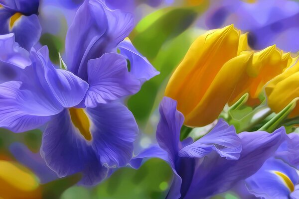 Grafica mit Tulpen und Iris
