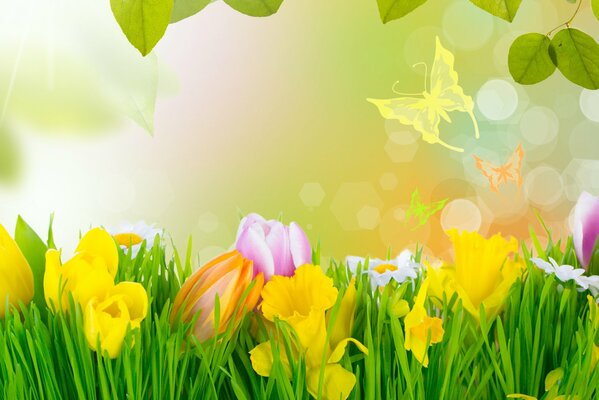 Gelbe und rosa Blüten im Gras