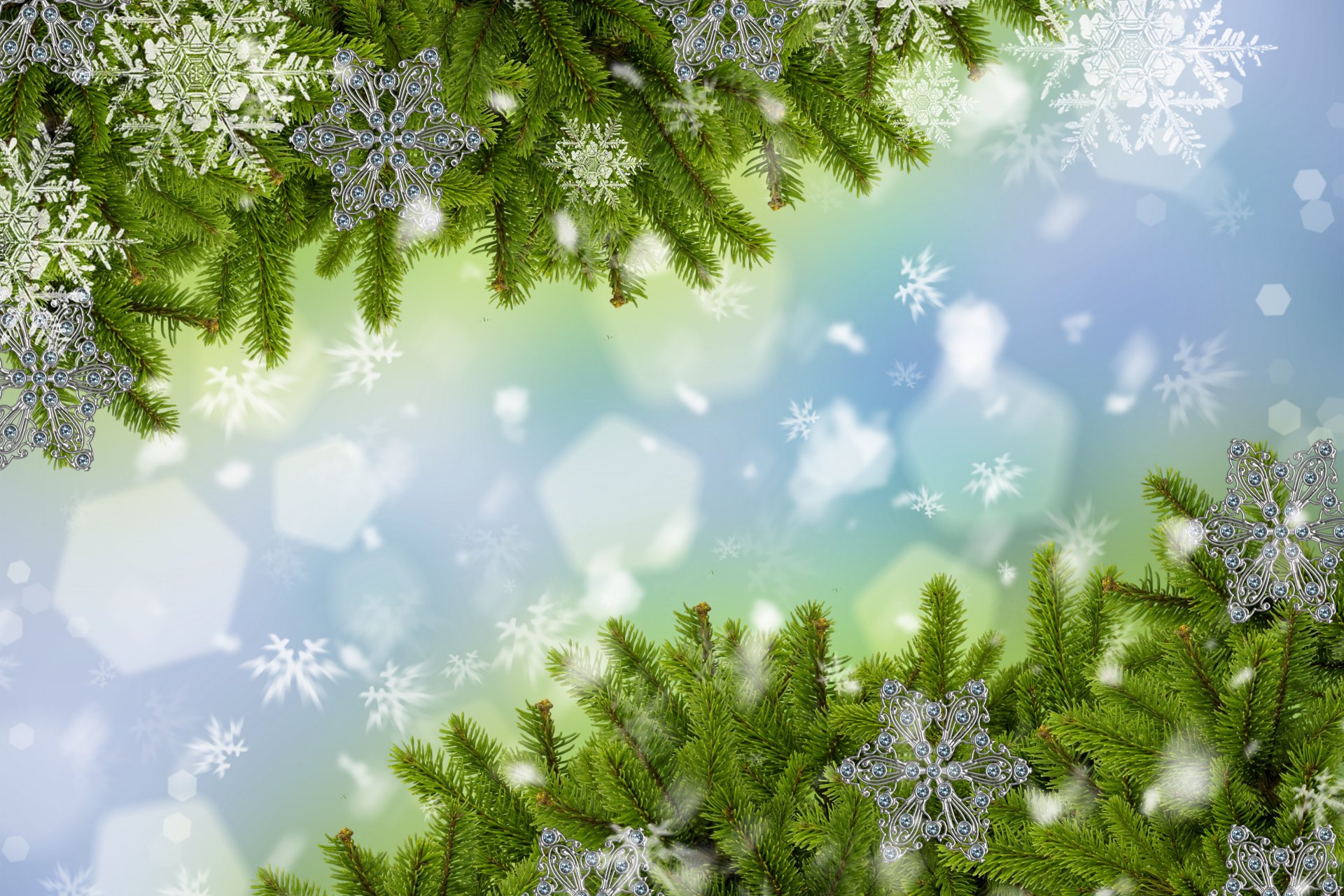 äste schneeflocken schnee