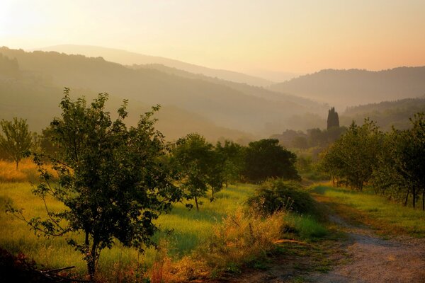 Sonnenuntergang und Wanderweg in einem wunderschönen grünen Feld