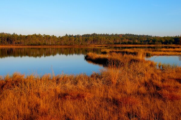 Ein sauberer See inmitten von trockenem Gras. Herbst