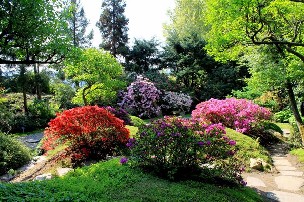 Parkallee mit schönen Blumen