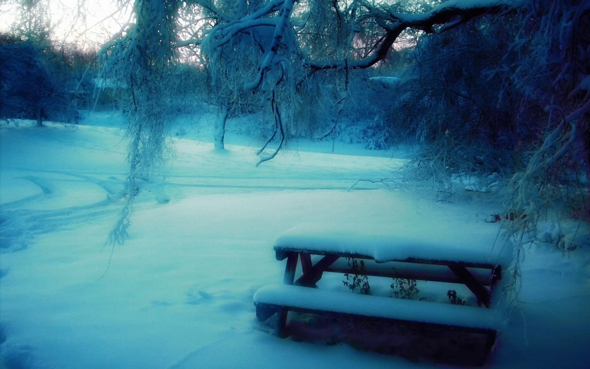 winter schnee park bäume bank tisch unschärfe
