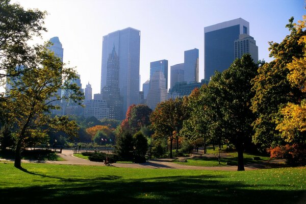 Schöner Park in New York City