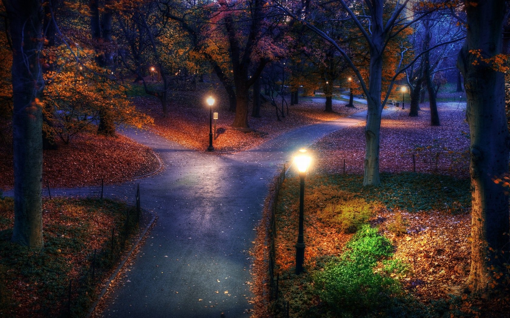 nacht park straßen