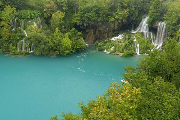 Plitvicer See zwischen Bäumen