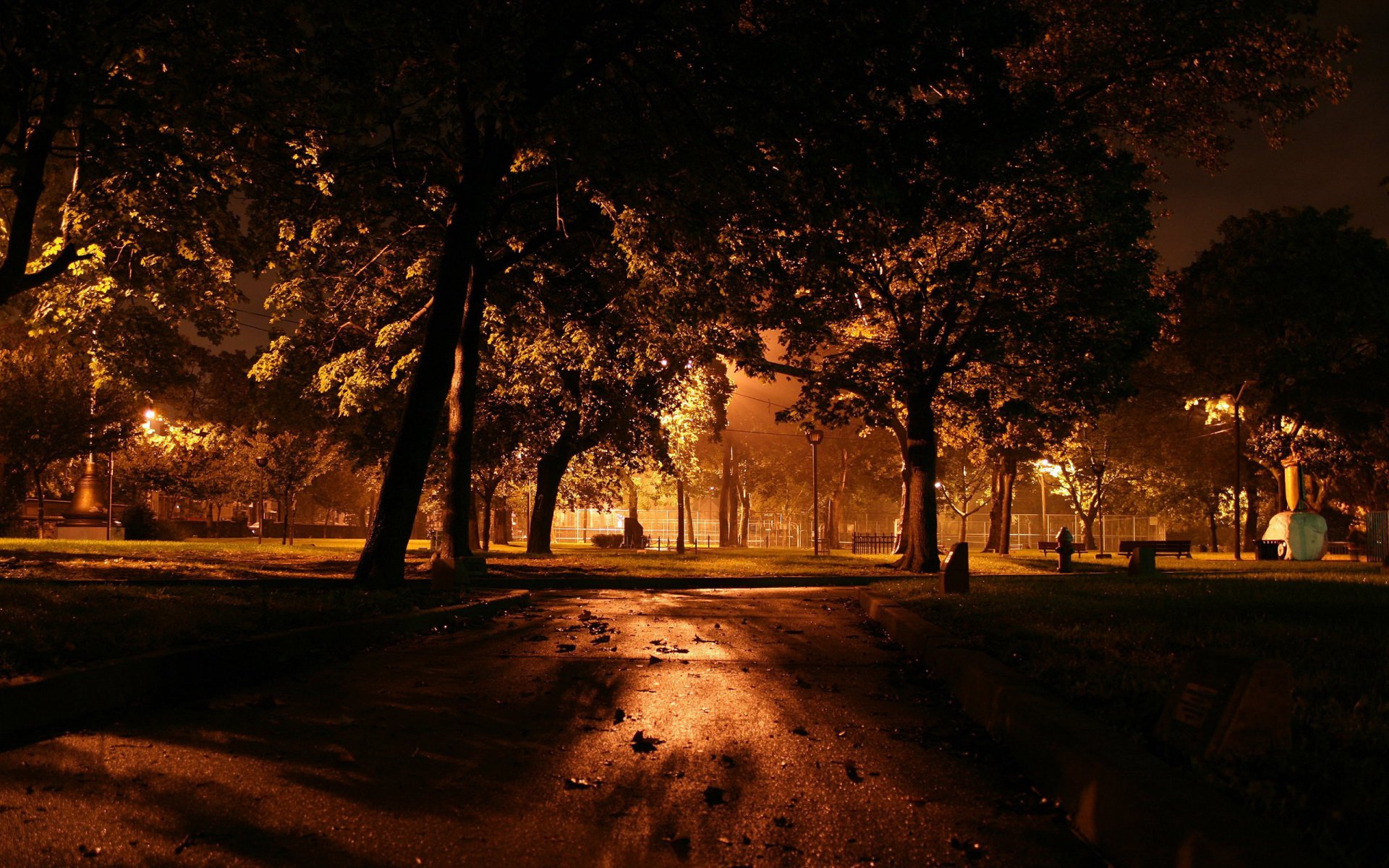 nacht bäume laternen