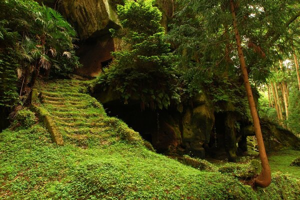 Ein verlassener Tempel in den Tiefen des Waldes