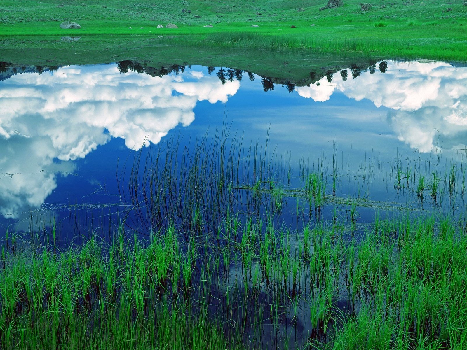 wolken reflexion see gras