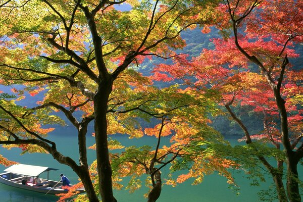 Herbst Bäume auf dem Hintergrund eines schwimmenden Bootes