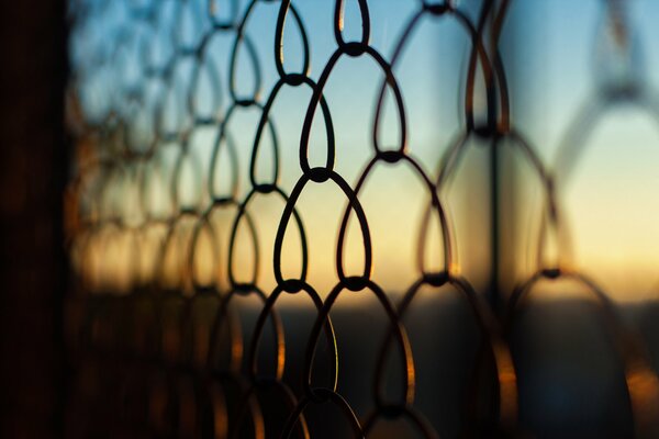 Makro-Foto von Gitter auf Sonnenuntergang Hintergrund