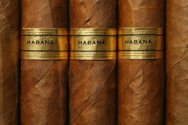 Braune kubanische Zigarren gold label nahaufnahme