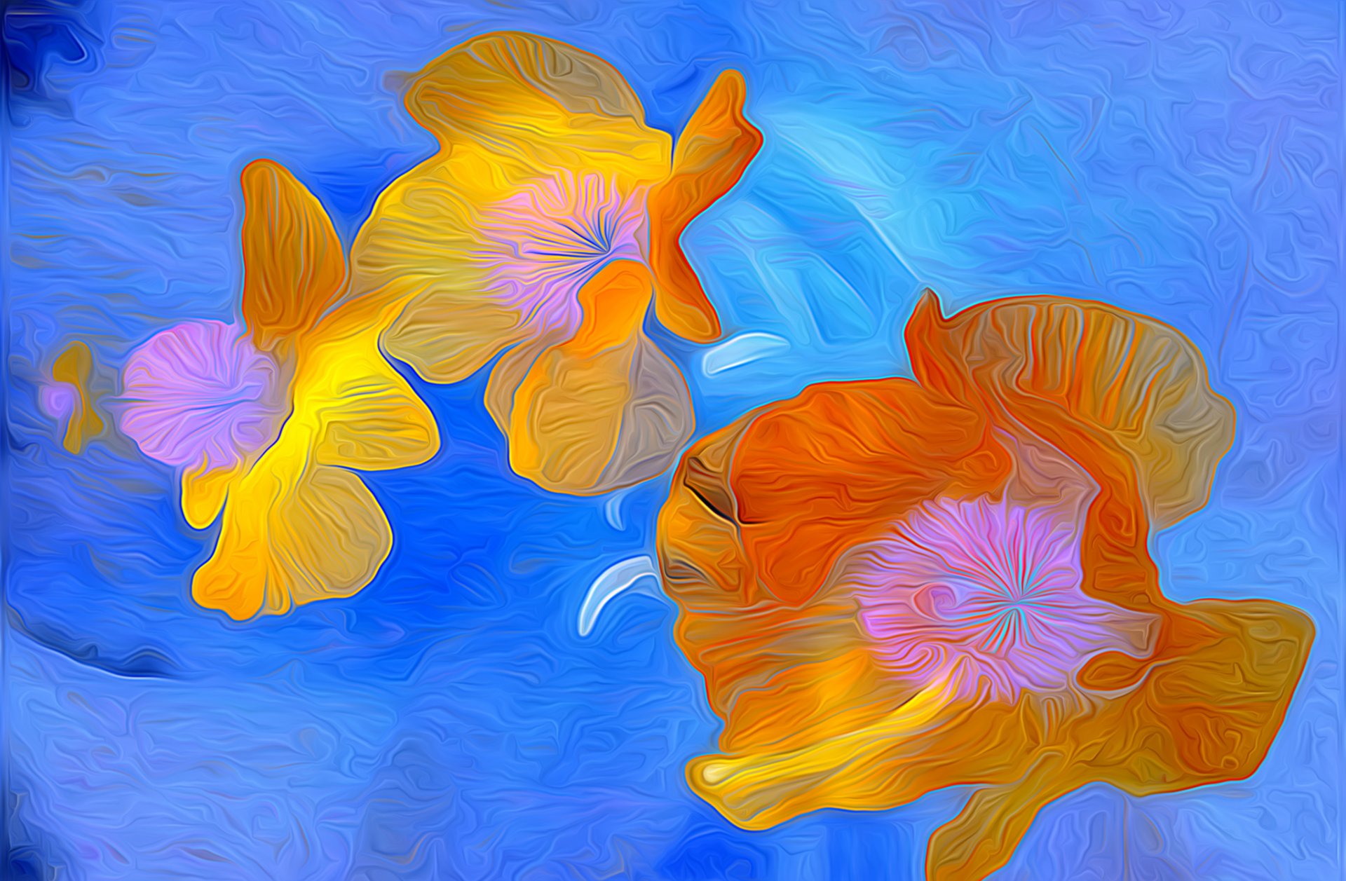 wasser blumen blütenblätter linien rendering
