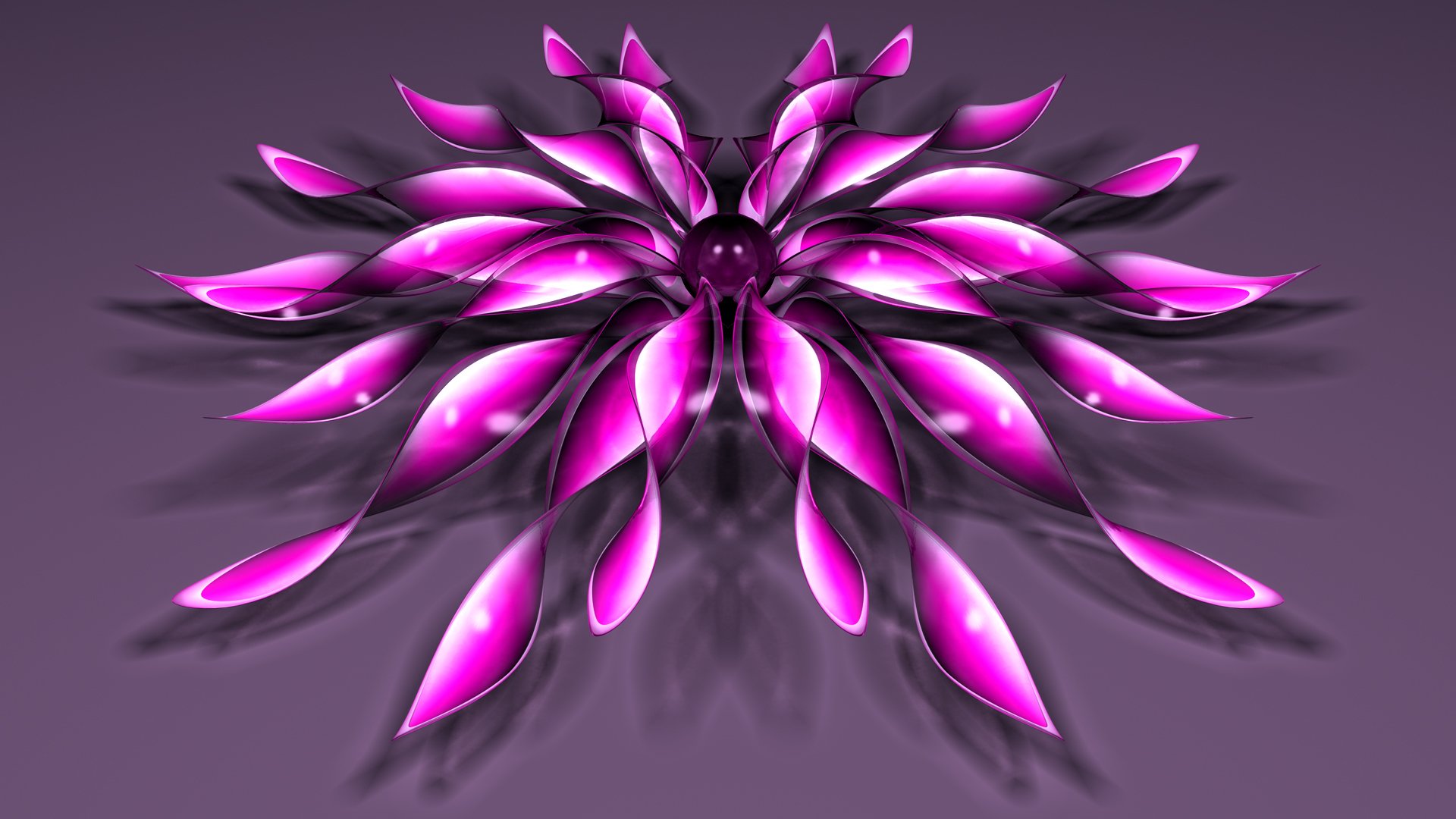 blume blütenblätter perle hintergrund
