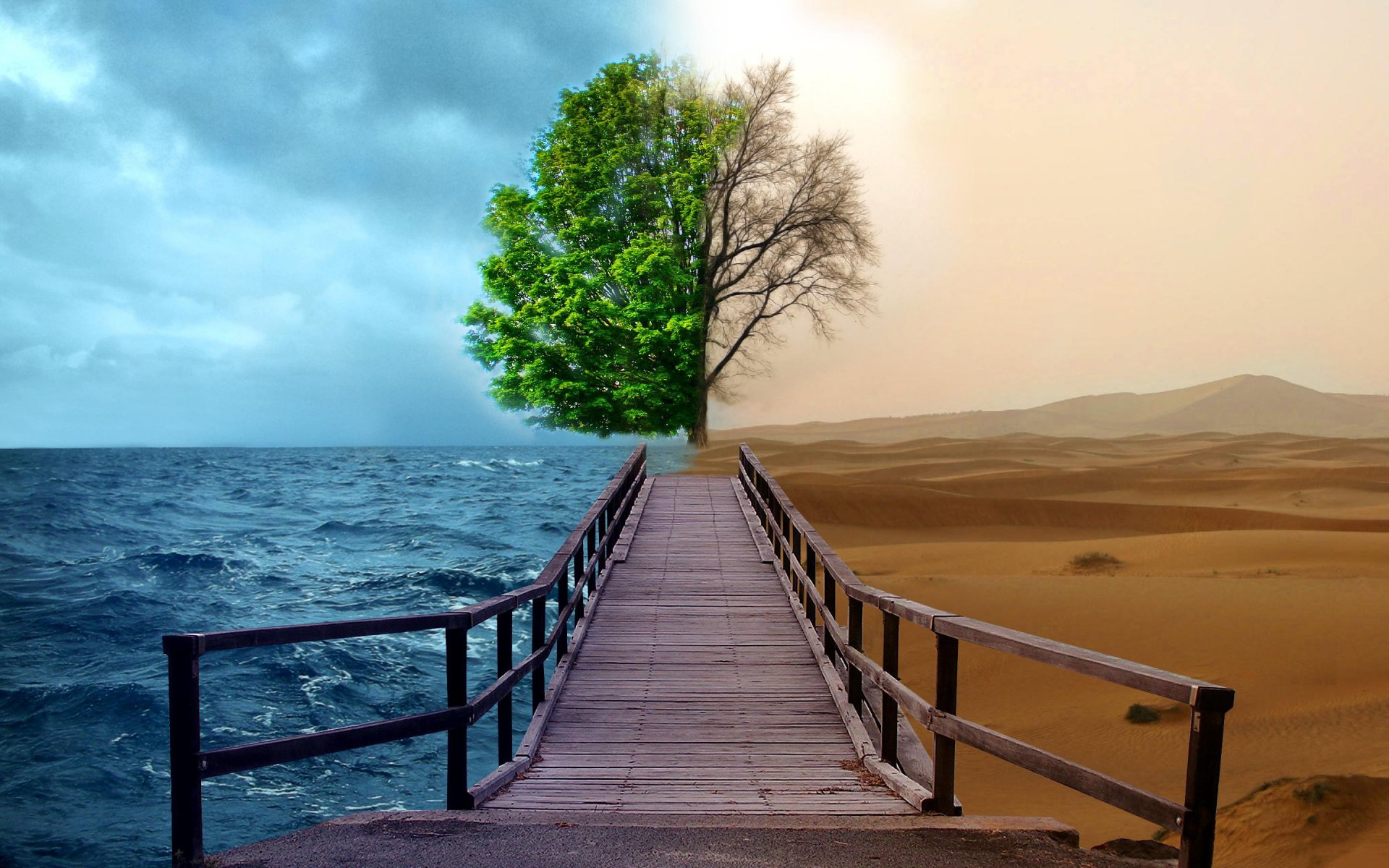 kreativ gehweg meer wasser wüste baum