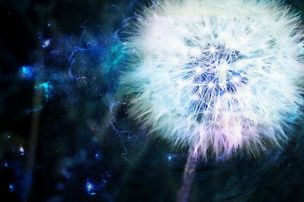 Löwenzahn als Energiequelle auf blauem Hintergrund
