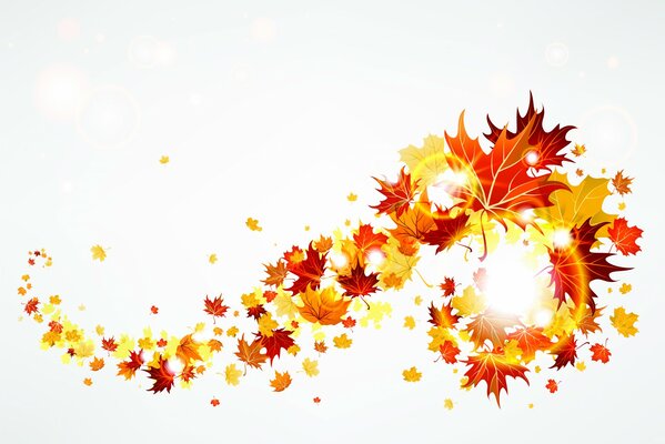 Herbstlaub von farbigen Ahornblättern
