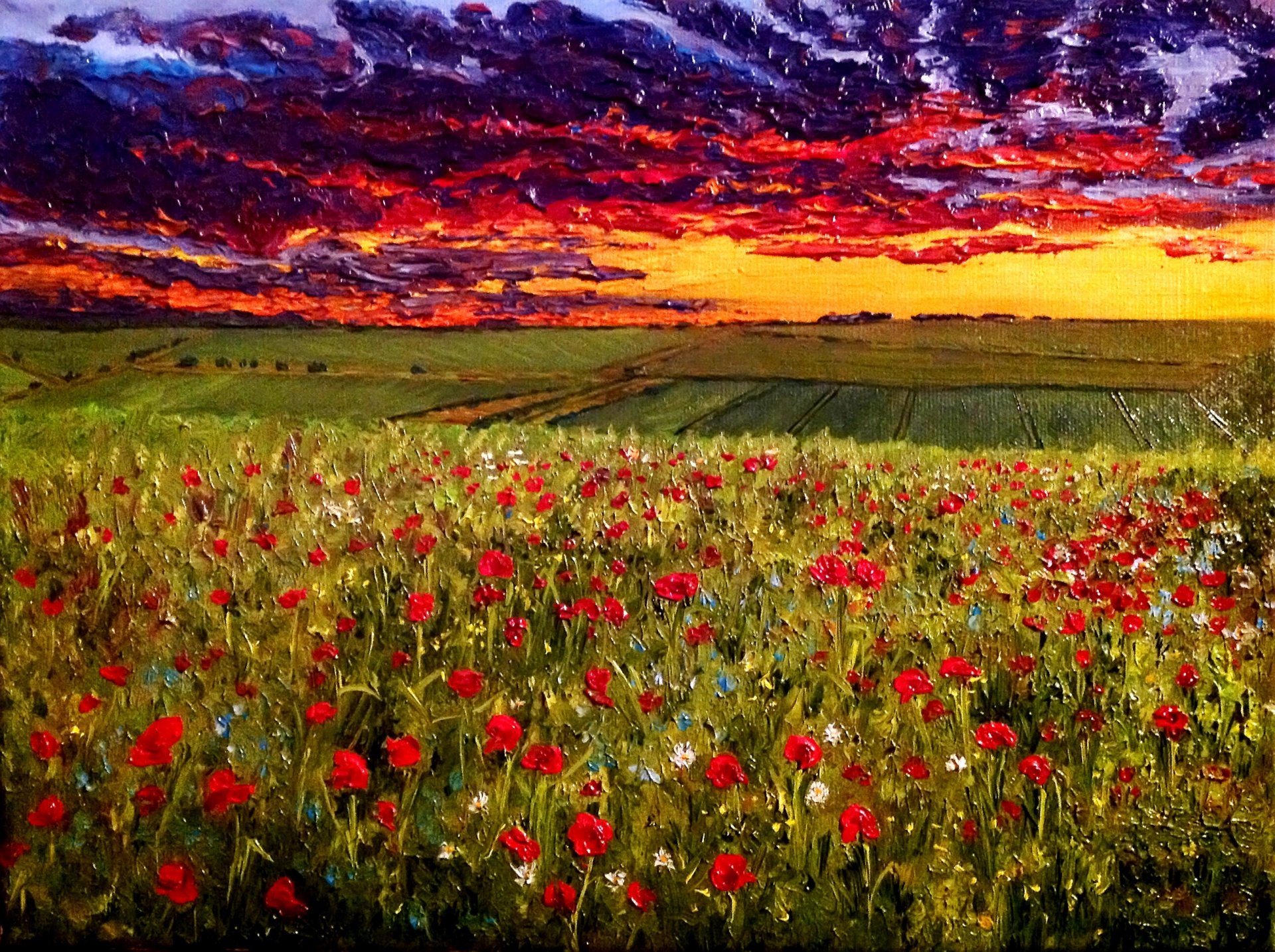 gemälde abendhimmel über mohnfeld öl auf leinwand maler o.katz
