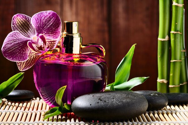 Parfümflasche neben Orchidee und schwarzen Massagesteinen