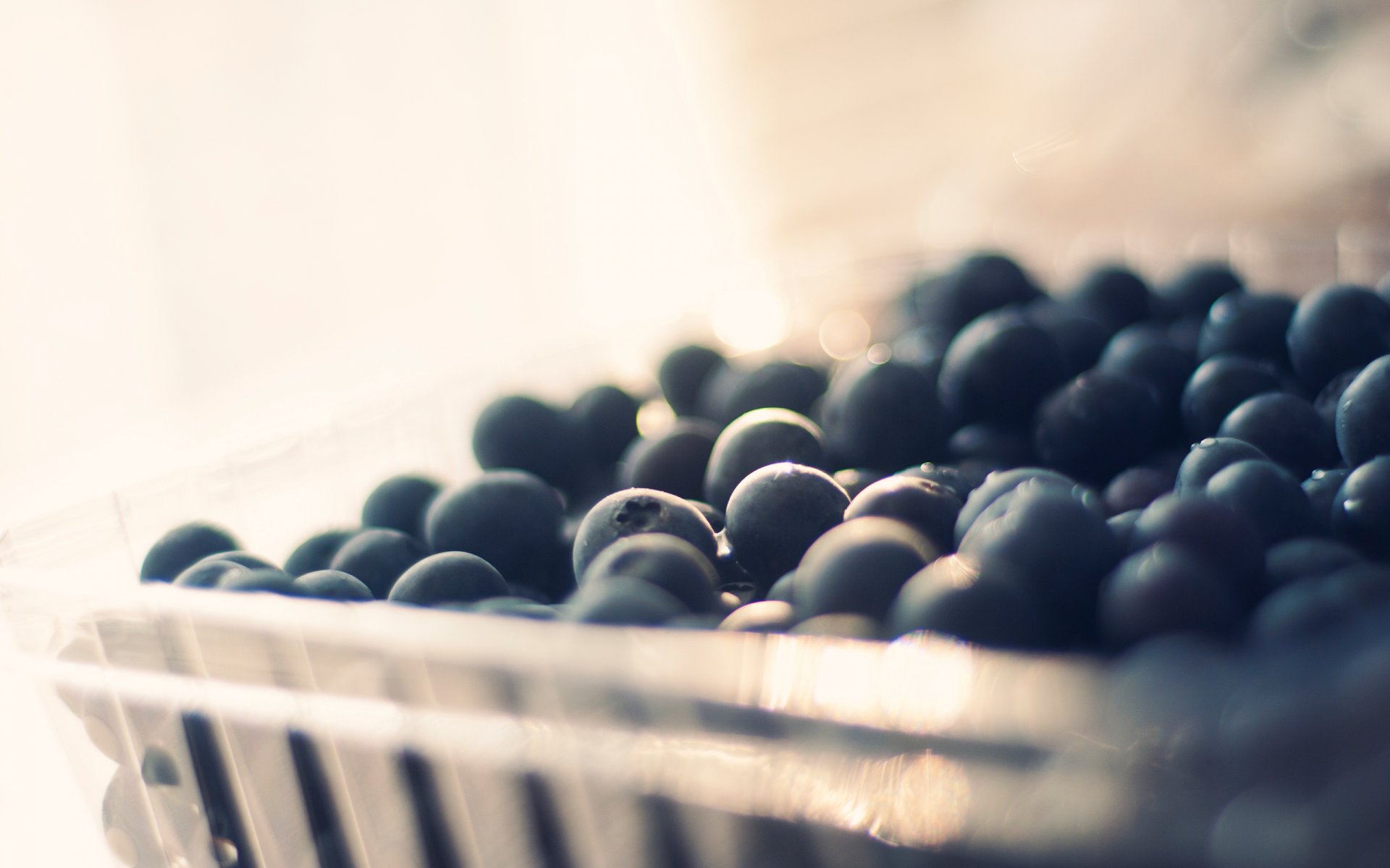 blaubeeren beeren bokeh