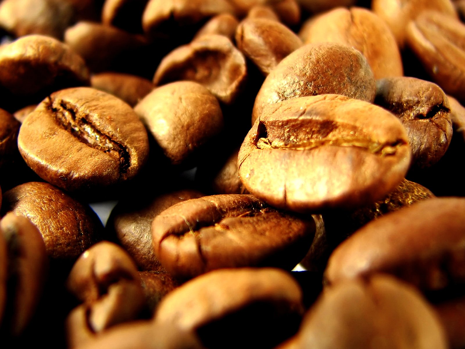 kaffee getreide