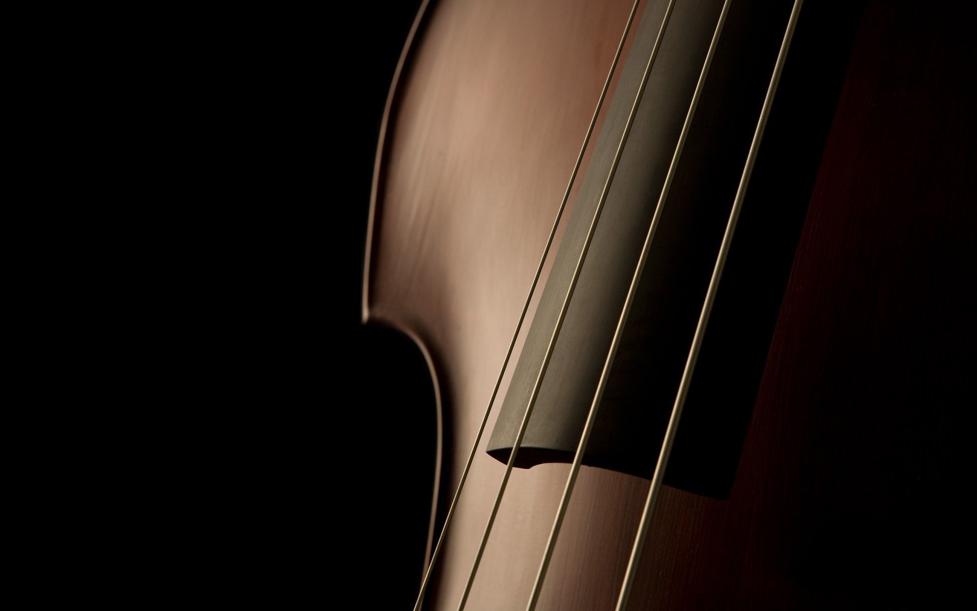 makro musikinstrumente musik makrofoto