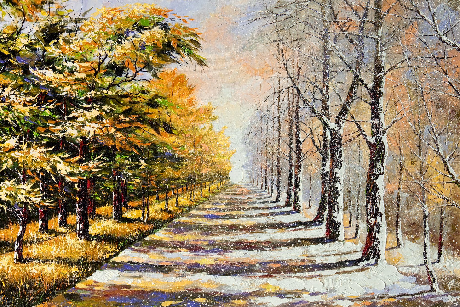 winter sommer bäume laub schnee straße