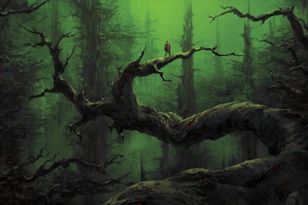 Düsterer Wald in der Dämmerung