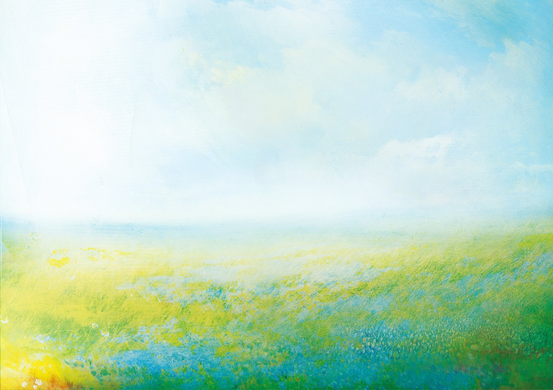 blumen gras wiese wind himmel wolken sommer natur