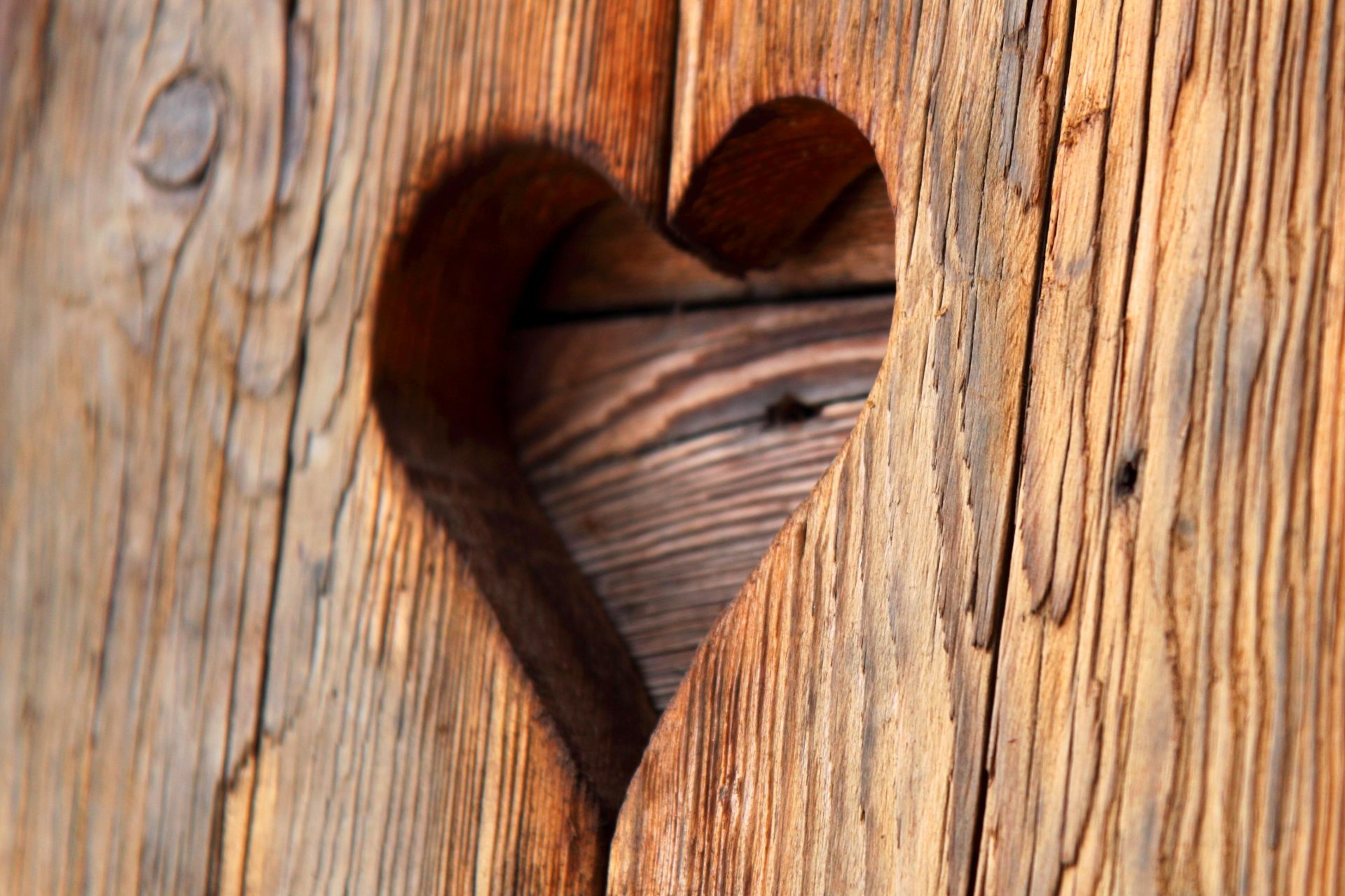 liebe herzen