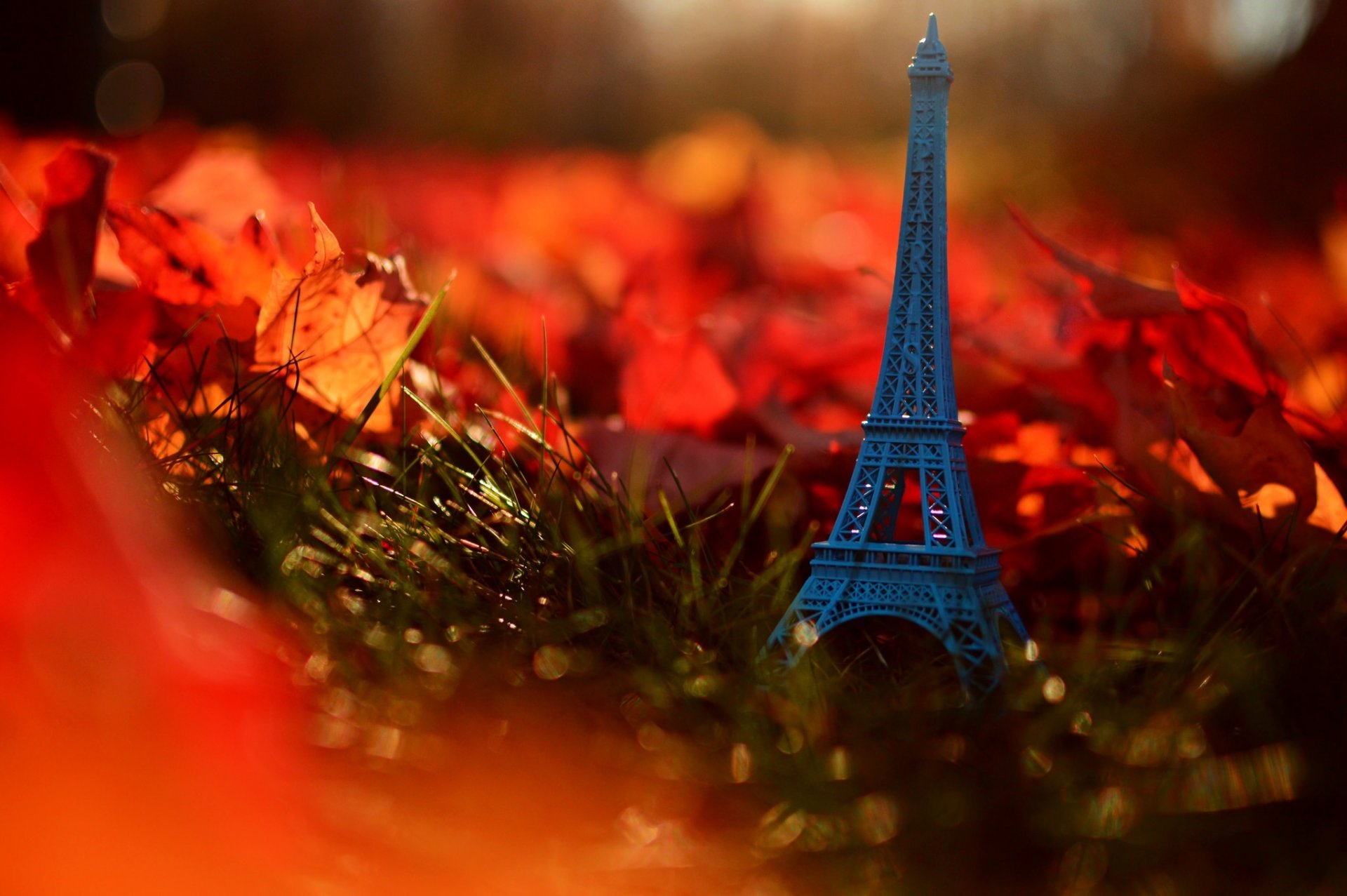 herbst blätter natur gras eiffelturm paris frankreich